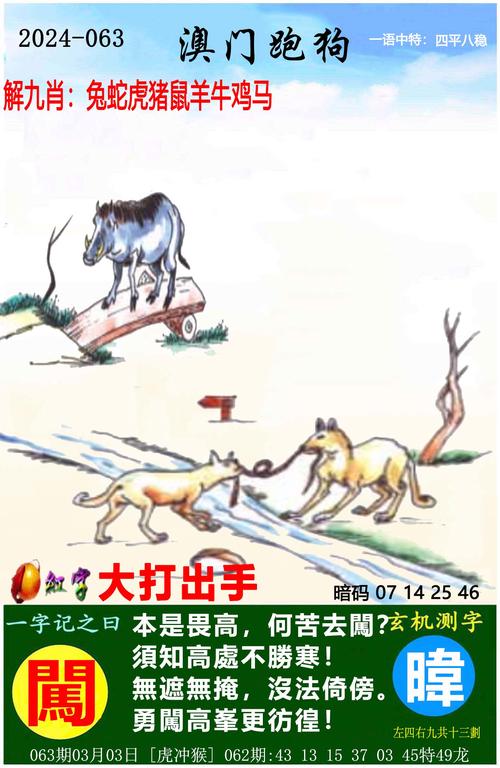 澳彩资料独家精准四肖与